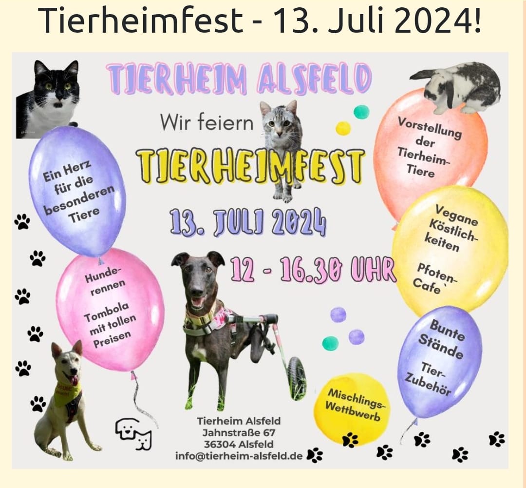 tierheimfest