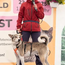 hundevorstellung-2025-8