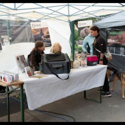 sommerfest-2025-20