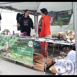 sommerfest-2025-22