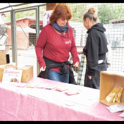 sommerfest-2025-34