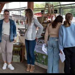 sommerfest-2025-36