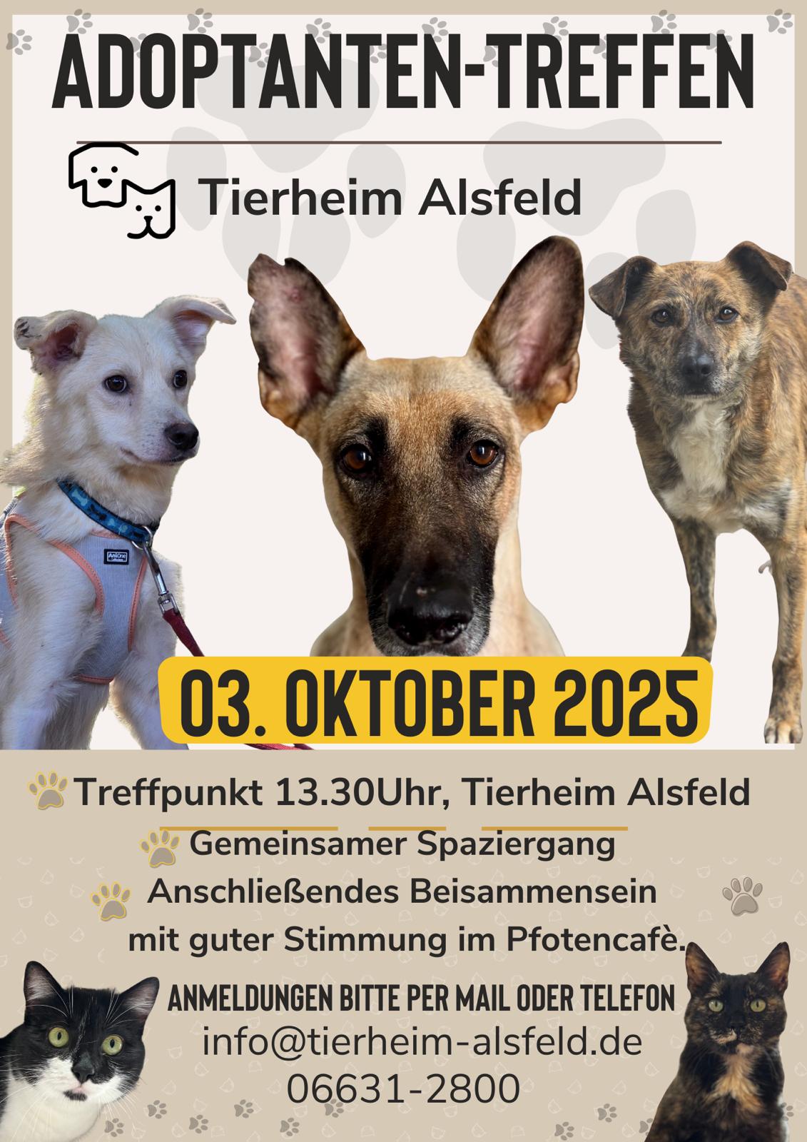 adoptantentreffen 03 10 25