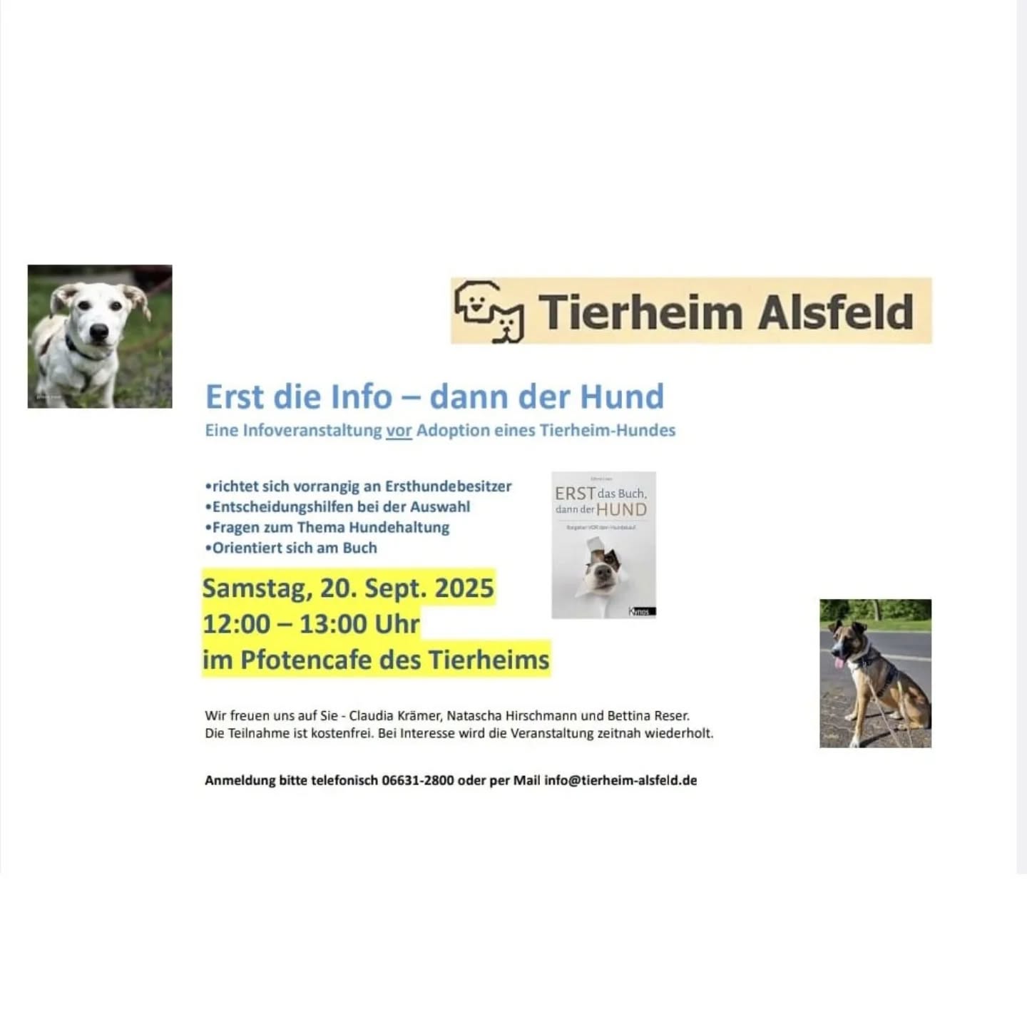 erstdieinfo