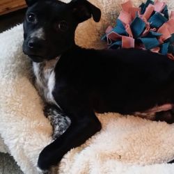 IMG-20251214-WA00031