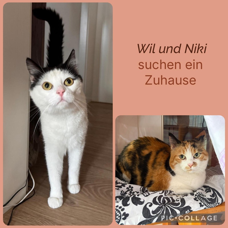 Wil und Niki