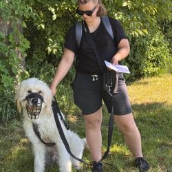 hundetrail-13