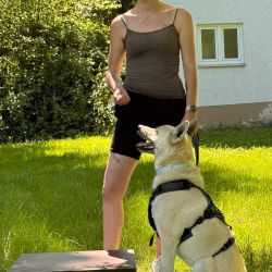 hundetrail-20