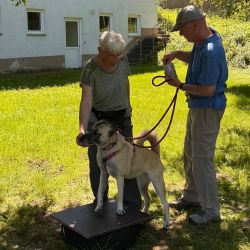 hundetrail-30