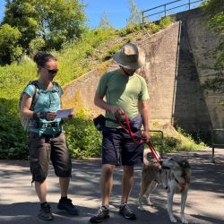 hundetrail-4