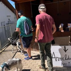 hundetrail-5