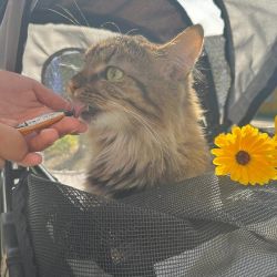 Ausflug_Prinzessin_4