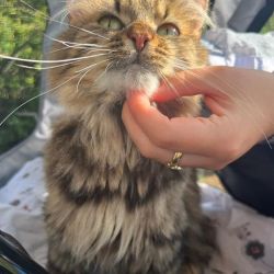 Ausflug_Prinzessin_6