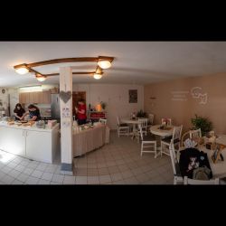 Pfotencafe_Neuerffnung_Pfotencafe_02