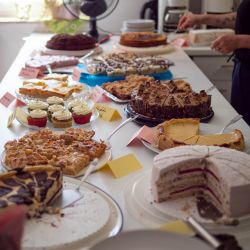 Pfotencafe_Neuerffnung_Pfotencafe_06