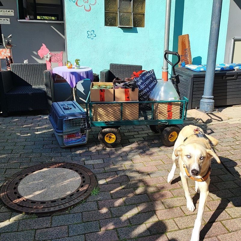 Spende von Luna ehemals Beluga