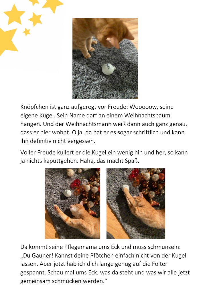 Knpfchen und die Weihnachtskugel3