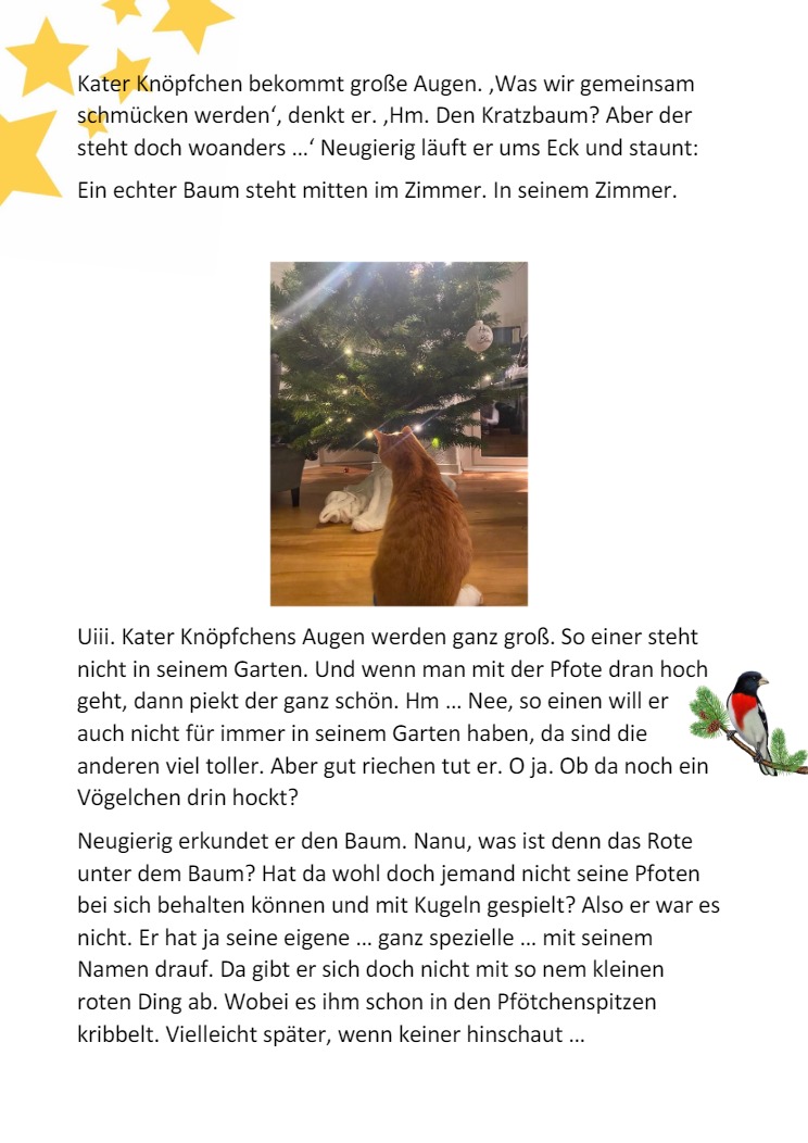 Knpfchen und die Weihnachtskugel4