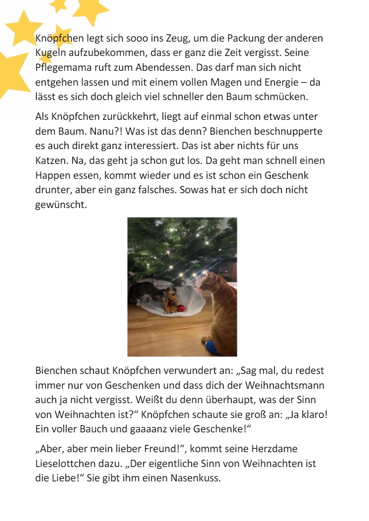 Knpfchen und die Weihnachtskugel7