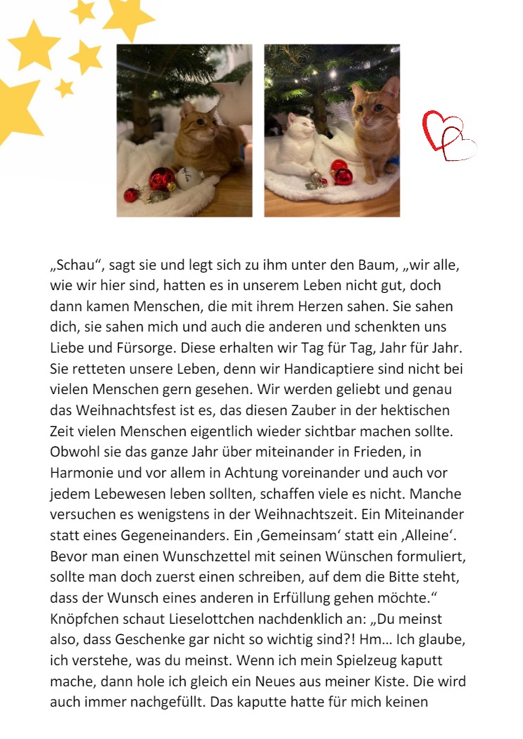 Knpfchen und die Weihnachtskugel8