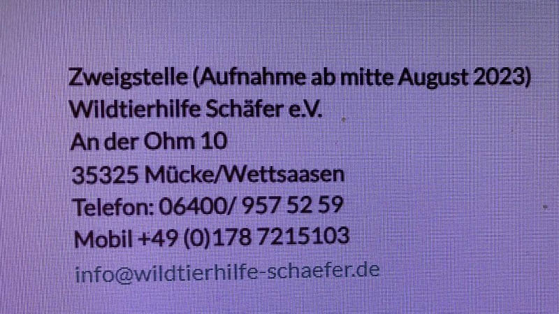 Wildtierhilfe 3