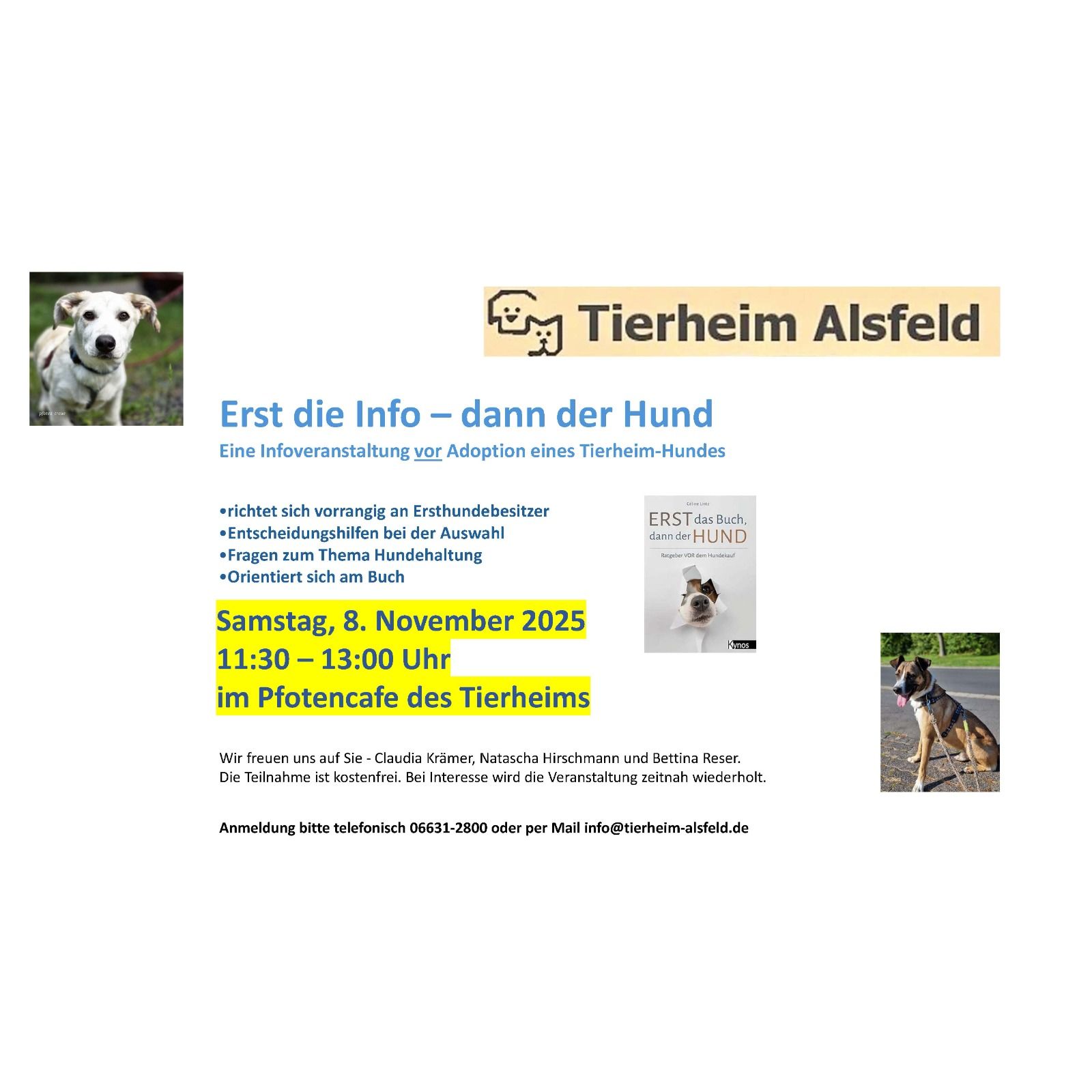 erstdieinfo