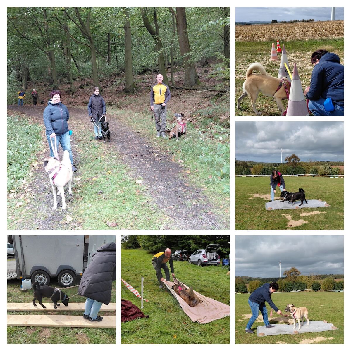 hundetrail 05 10 25 2