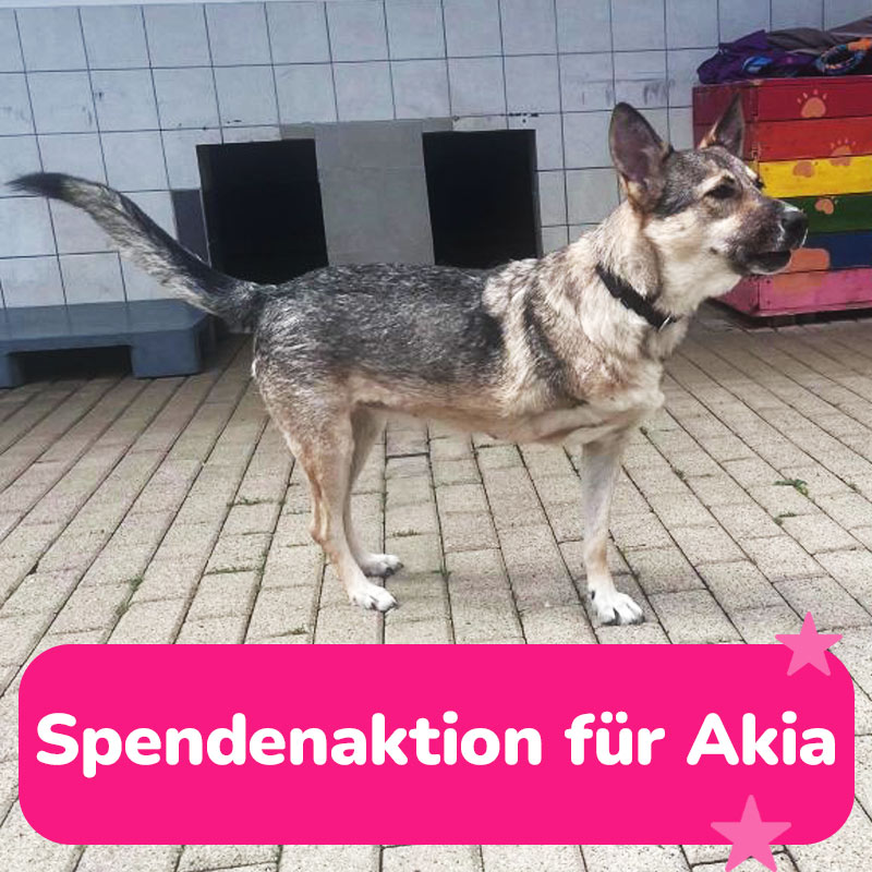 spendenaktion 4