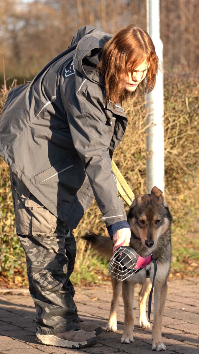 hundeschule jan 3