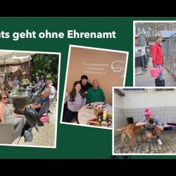 Mitgliederversammlung-Prasentation_18-018