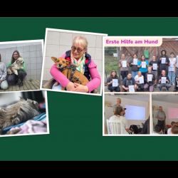 Mitgliederversammlung-Prasentation_4-004