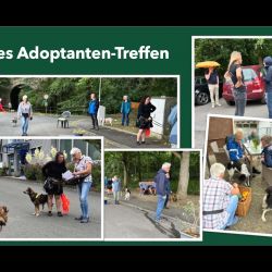 Mitgliederversammlung-Prasentation_6-006