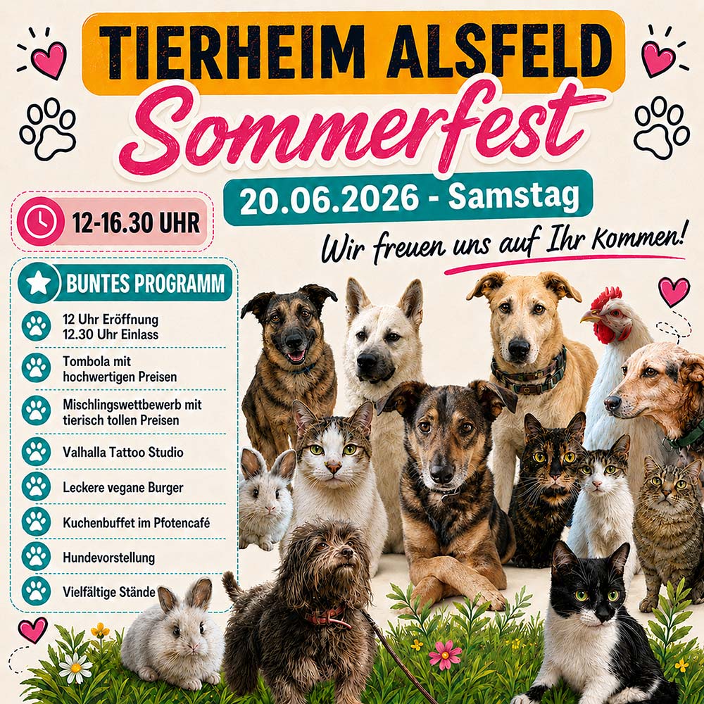 sommerfest hilfe
