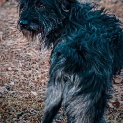 IMG_5902_kiko_quadratisch