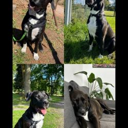 87E36A89-0ED7-4714-ADB9-246E3CA9EF4F