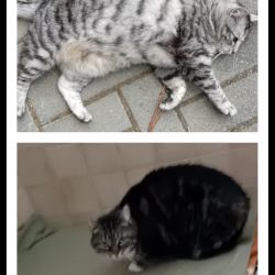 Titelbild_Jutta_Jana