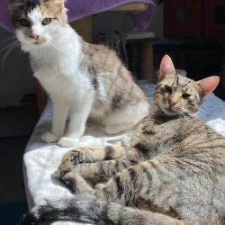 Casa-Nova_Patachon_4