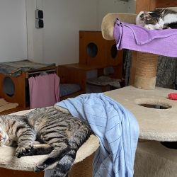 Patachon_und_Casa-Nova