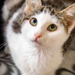 IMG_3406_Lora_quadratisch