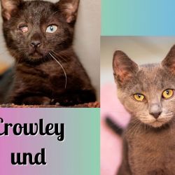 Crowley_und_Ramon