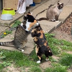 Naomi_und_Miss_Purrfect_2