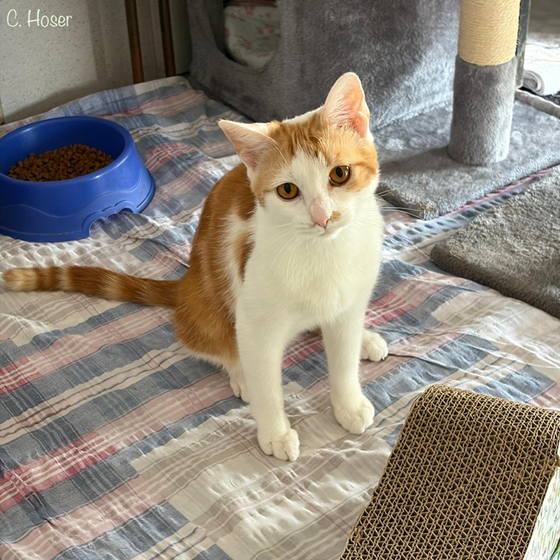 Mimi 9