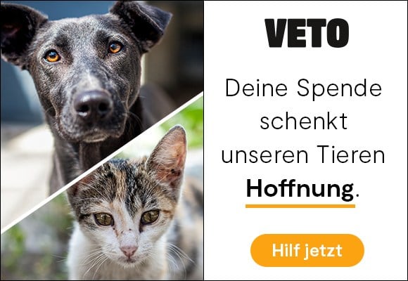 VETO - Europas Stimme fuer Tierschutz